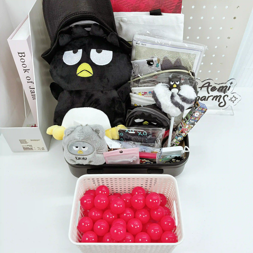 SA 14-Inch Suitcase Mystery Gift Box